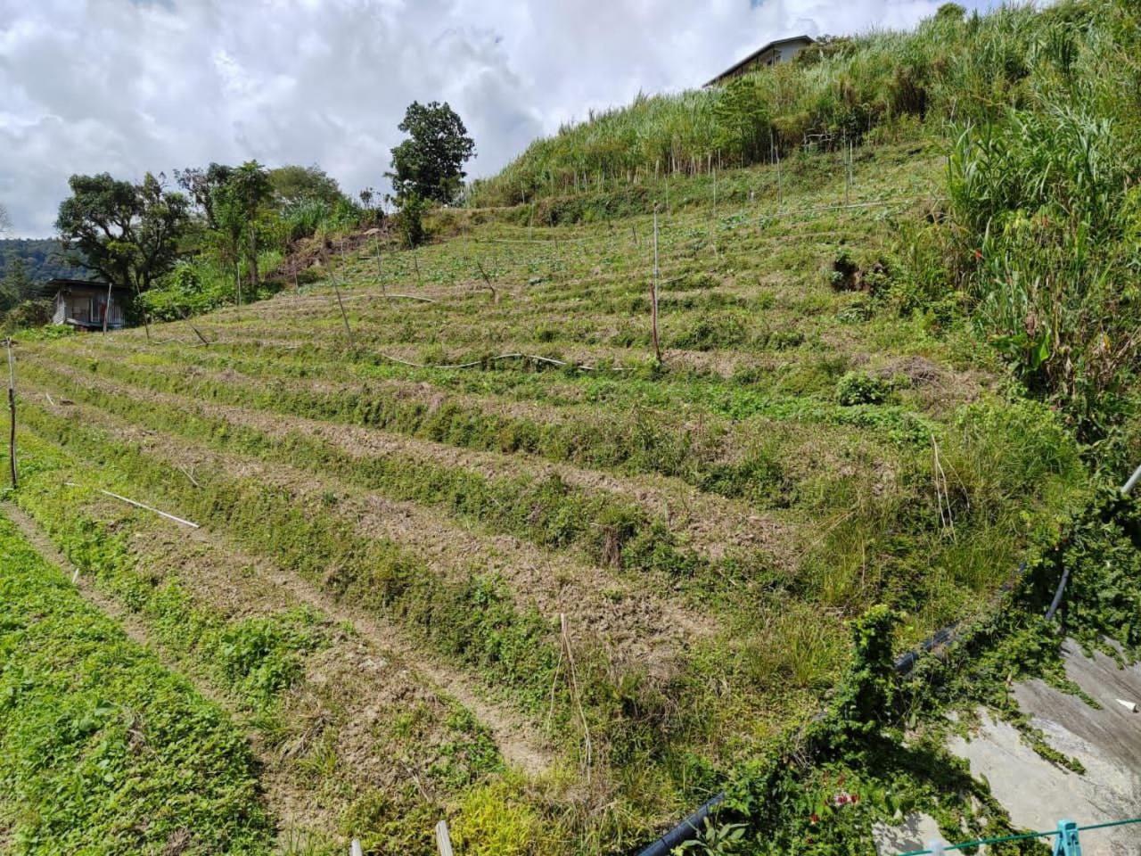Kundasang Mount Garden Ngoại thất bức ảnh