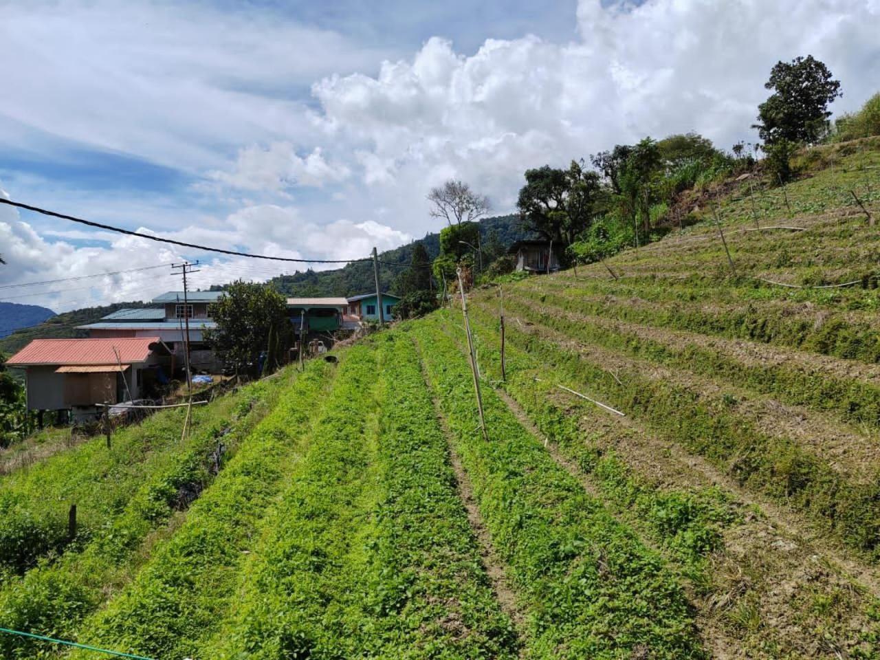 Kundasang Mount Garden Ngoại thất bức ảnh